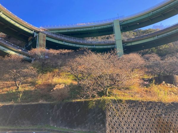 河津七滝ループ橋