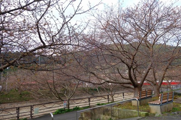 沢田涅槃堂駐車場