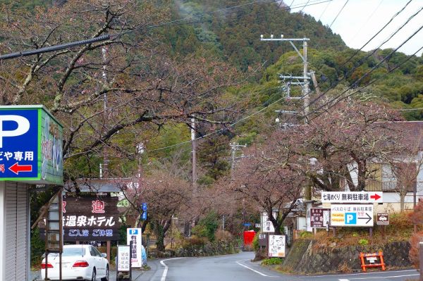 河津七滝メインストリート