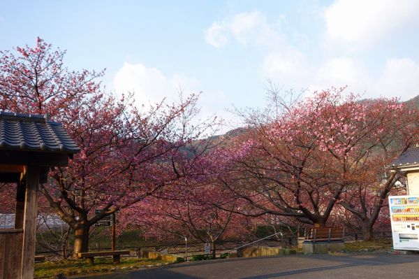 沢田涅槃堂駐車場