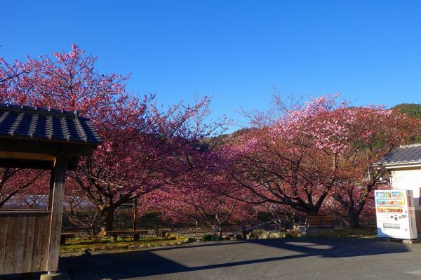 沢田涅槃堂駐車場