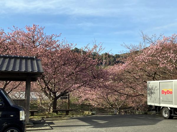 沢田涅槃堂駐車場
