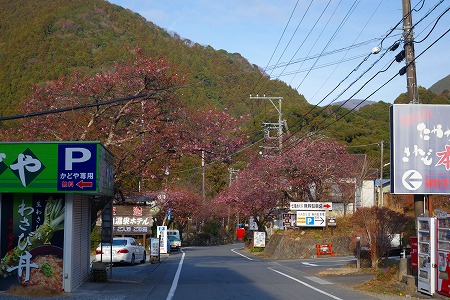 河津七滝メインストリート