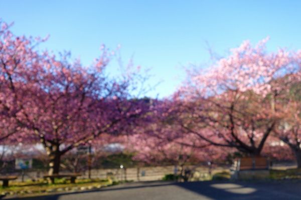 沢田涅槃堂駐車場