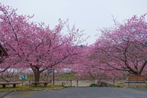 沢田涅槃堂駐車場