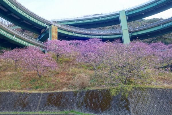 河津七滝ループ橋