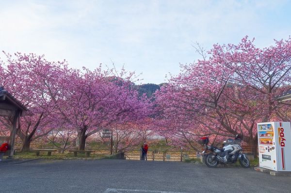 沢田涅槃堂駐車場