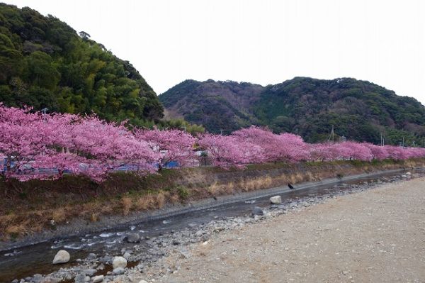 沢田地区川沿い