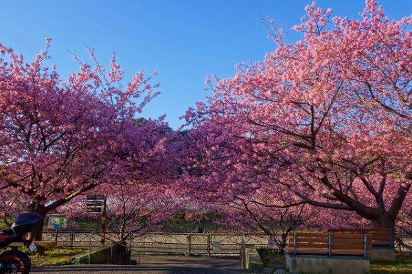 沢田涅槃堂駐車場