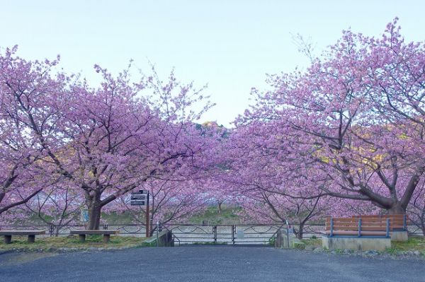 沢田涅槃堂駐車場