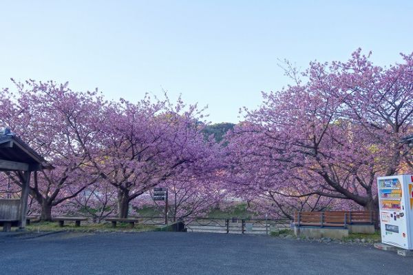 沢田涅槃堂駐車場
