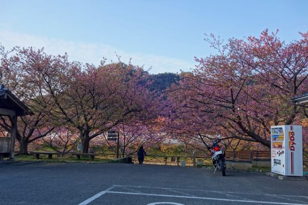 沢田涅槃堂駐車場