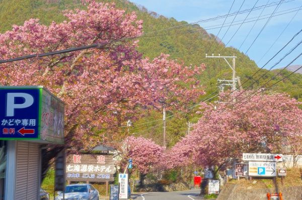 河津七滝メインストリート