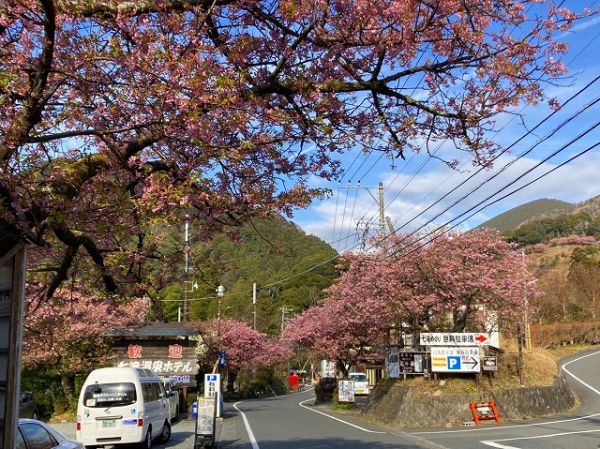 河津七滝メインストリート