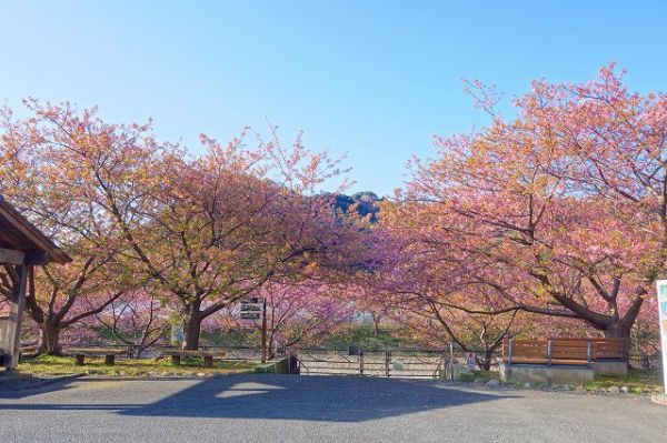 沢田涅槃堂駐車場