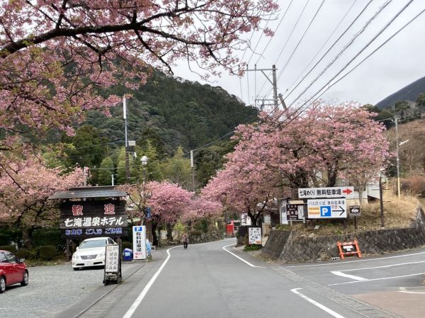 河津七滝メインストリート