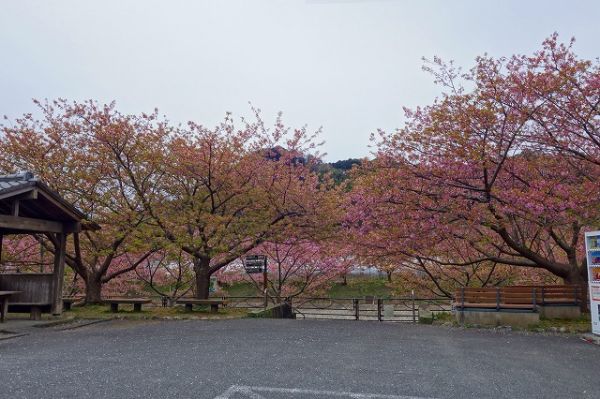 沢田涅槃堂駐車場