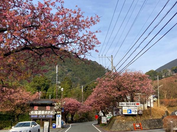 河津七滝メインストリート