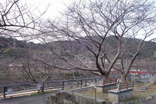 沢田涅槃堂駐車場