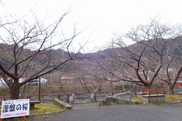 沢田涅槃堂駐車場