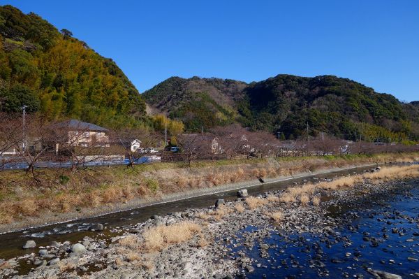 沢田地区川沿い