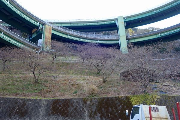 河津七滝ループ橋下