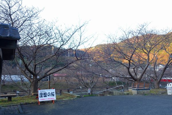 沢田涅槃堂駐車場