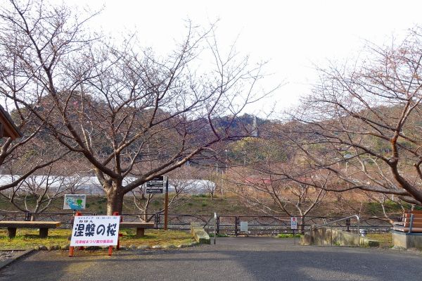 沢田涅槃堂駐車場