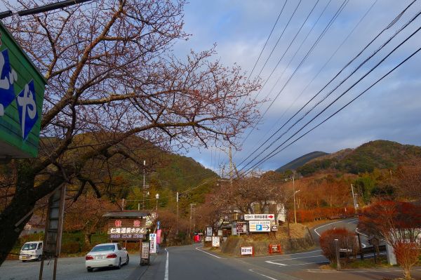 河津七滝メインストリート