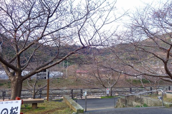 沢田涅槃堂駐車場