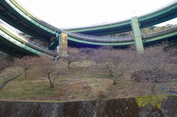 河津七滝ループ橋下