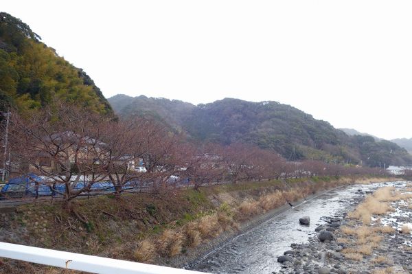 沢田涅槃堂駐車場周辺