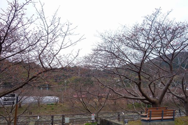 沢田涅槃堂駐車場