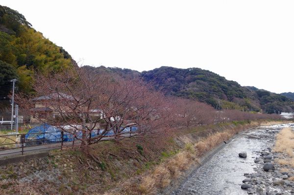 沢田地区　川沿い