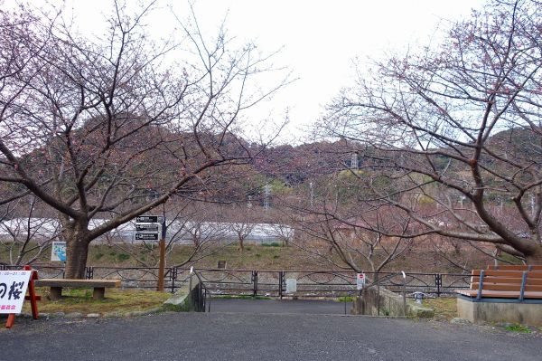 沢田涅槃堂駐車場