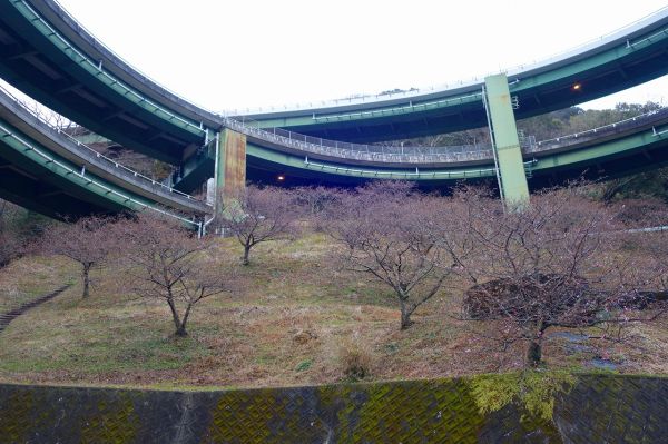 河津七滝ループ橋下