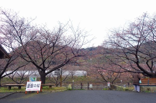 沢田涅槃堂駐車場