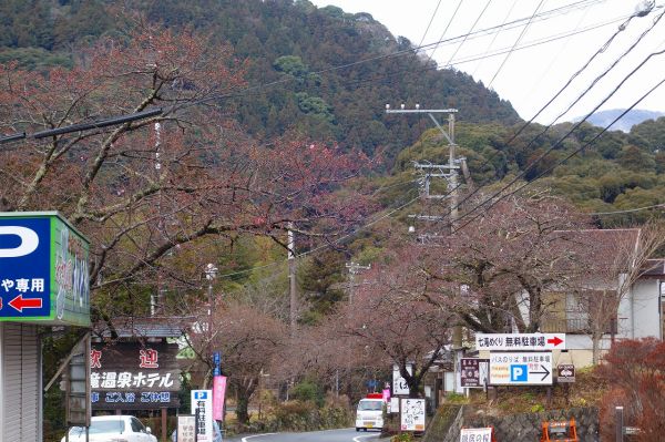 河津七滝メインストリート