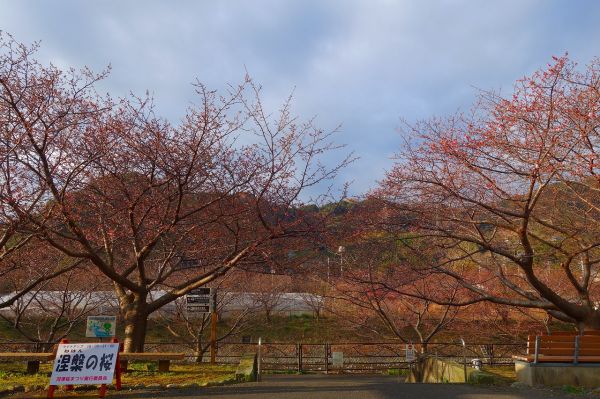 沢田涅槃堂駐車場
