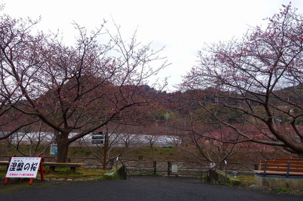 沢田涅槃堂駐車場