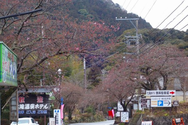 河津七滝メインストリート