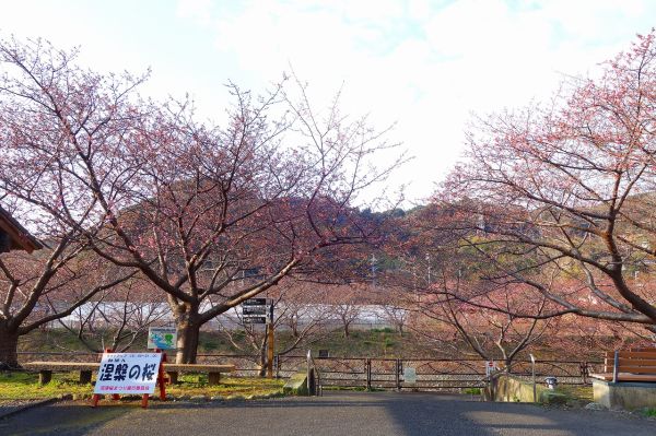 沢田涅槃堂駐車場
