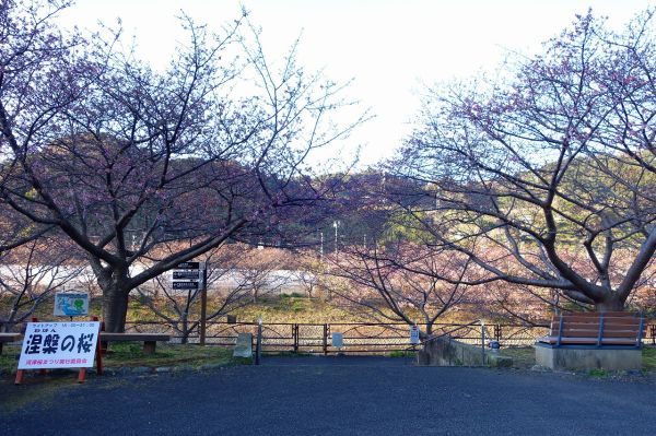 沢田涅槃堂駐車場