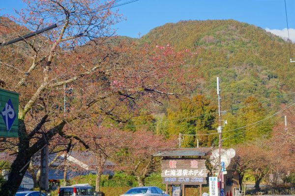 河津七滝メインストリート