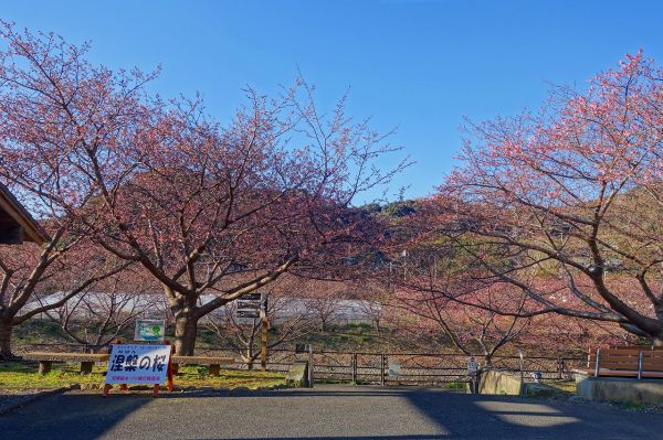 沢田涅槃堂駐車場