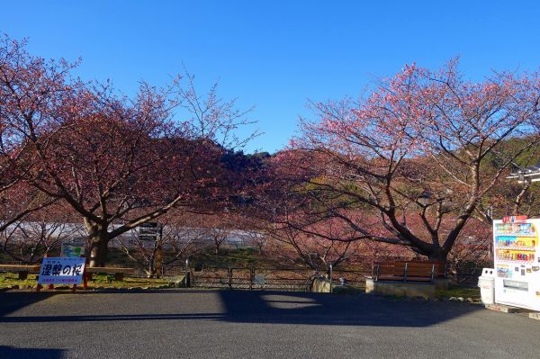 沢田涅槃堂駐車場