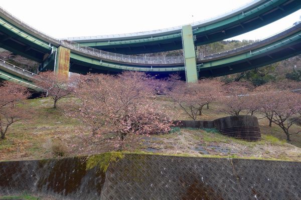 河津七滝ループ橋下