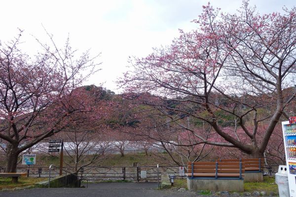 沢田涅槃堂駐車場
