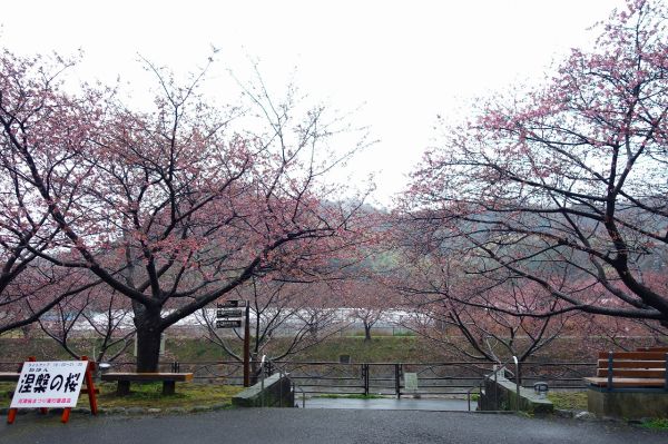 沢田涅槃堂駐車場
