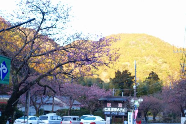 河津七滝メインストリート